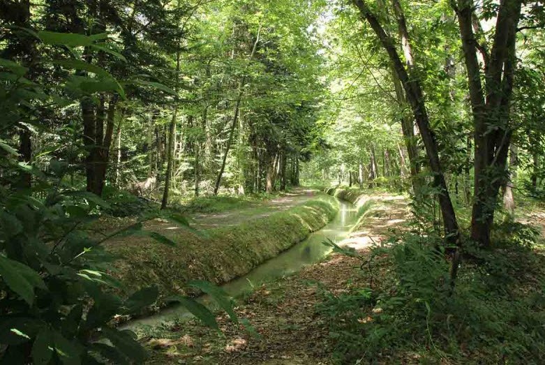 Arboretum de Cardeilhac, Cardeilhac, France, France